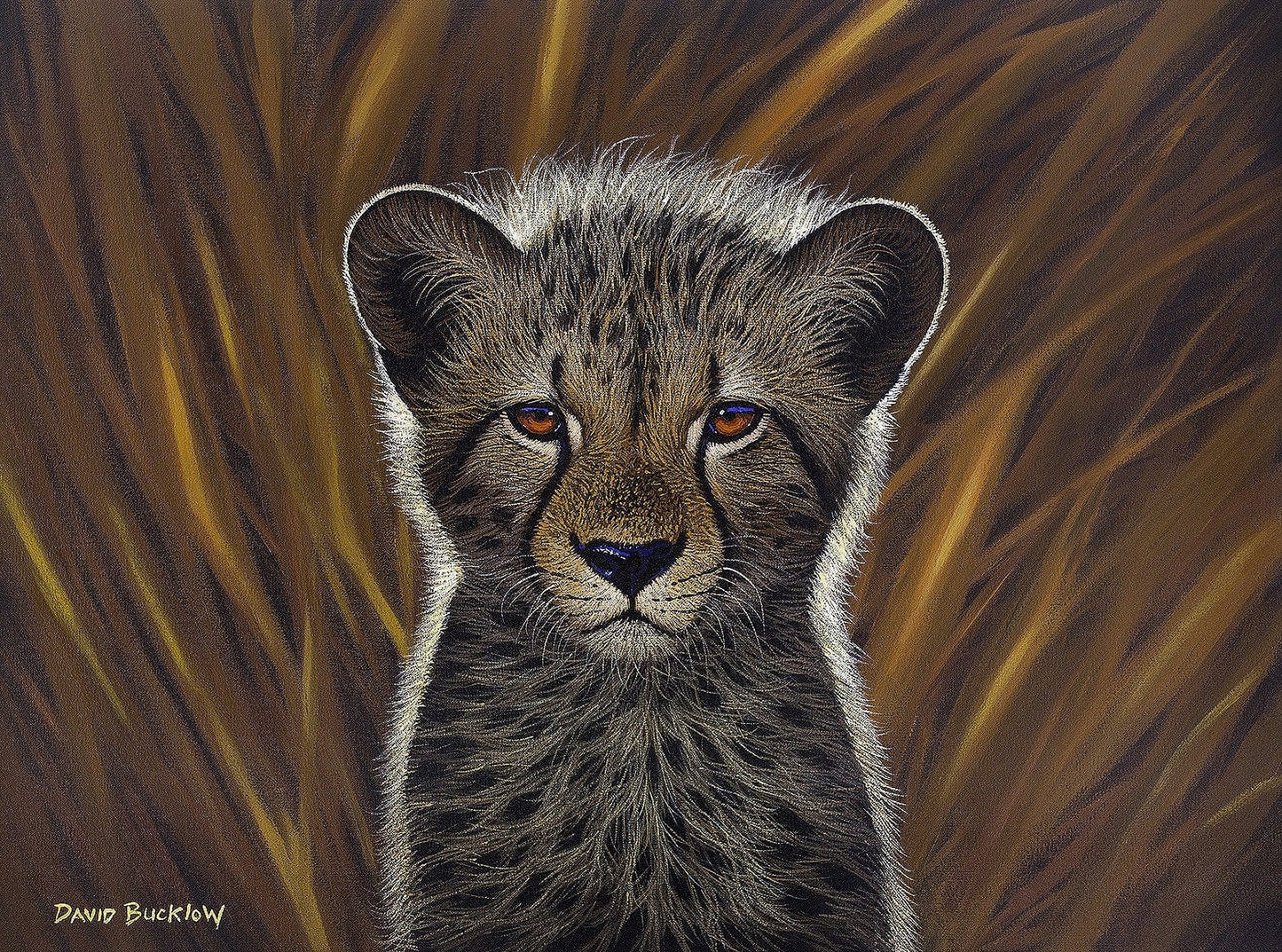 South African Limited Editions by David Bucklow - Fuzzball - Cheetah Cub - Fine Art Portfolio