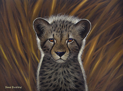 South African Limited Editions by David Bucklow - Fuzzball - Cheetah Cub - Fine Art Portfolio