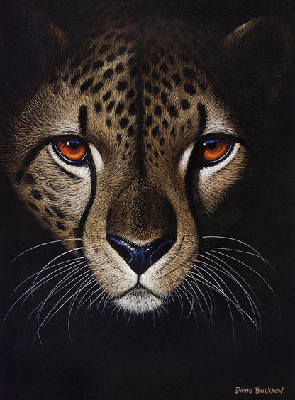 A beautiful painting of a cheetah about to start running by artist David Bucklow. The artwork has painted the cheetah at night.