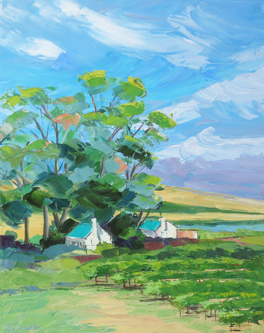 Durbanville Hills Vines