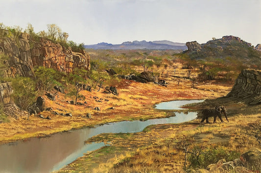 South African Original Art by Errol Norbury - Elephant in the Bushveld - Fine Art Portfolio