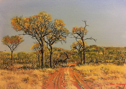 South African Original Art by Errol Norbury - Kudu in the Bushveld - Fine Art Portfolio