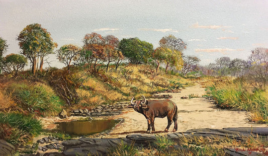 South African Original Art by Errol Norbury - Buffalo at Waterhole - Fine Art Portfolio