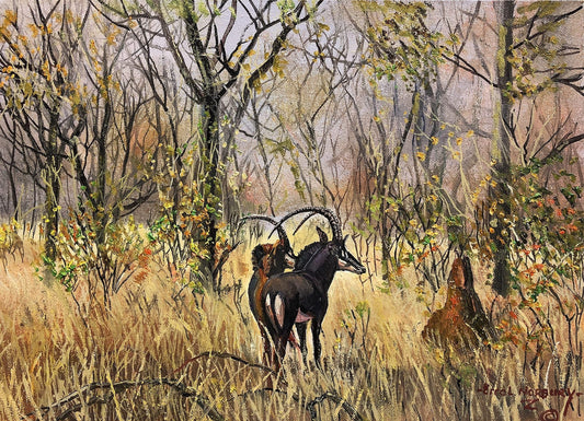 Original painting of a sable antelope in the Kruger National Park.