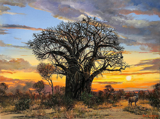 South African Original Art by Errol Norbury - Kudu with Baobab Tree at Sunset - Fine Art Portfolio