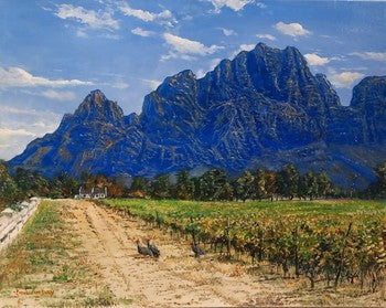 West Side of Boschendal l