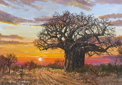 Baobab in the Sunset