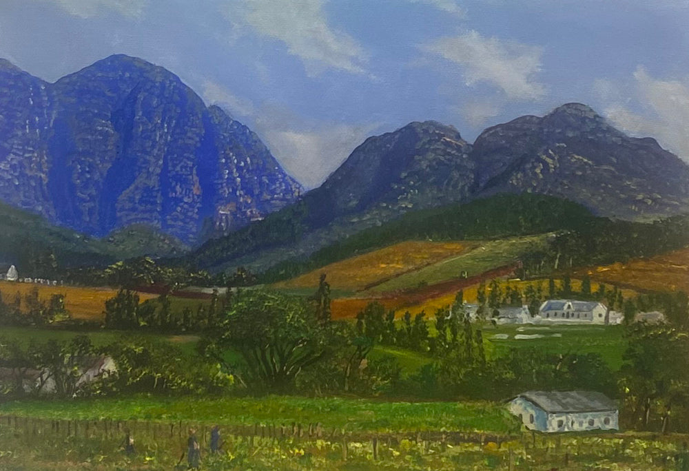 The Franschhoek Vineyards