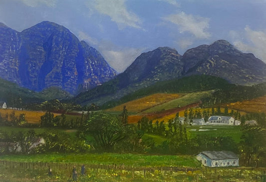 The Franschhoek Vineyards