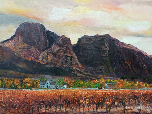 Boschendal Sunset