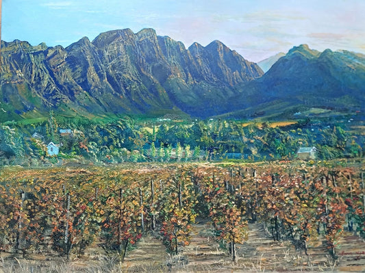 Franschhoek Valley