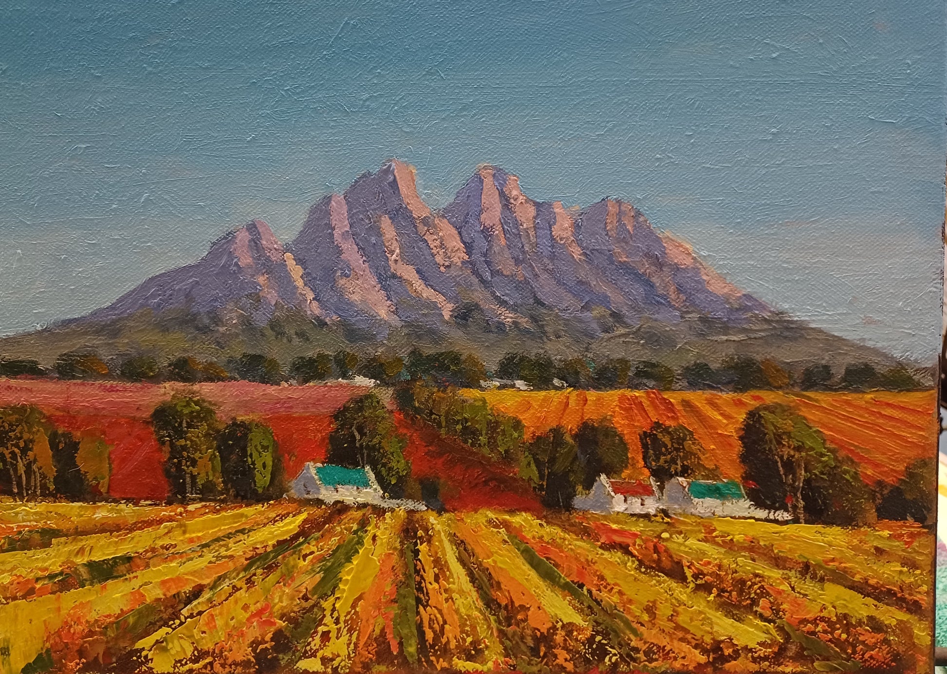 Winelands in Franschhoek