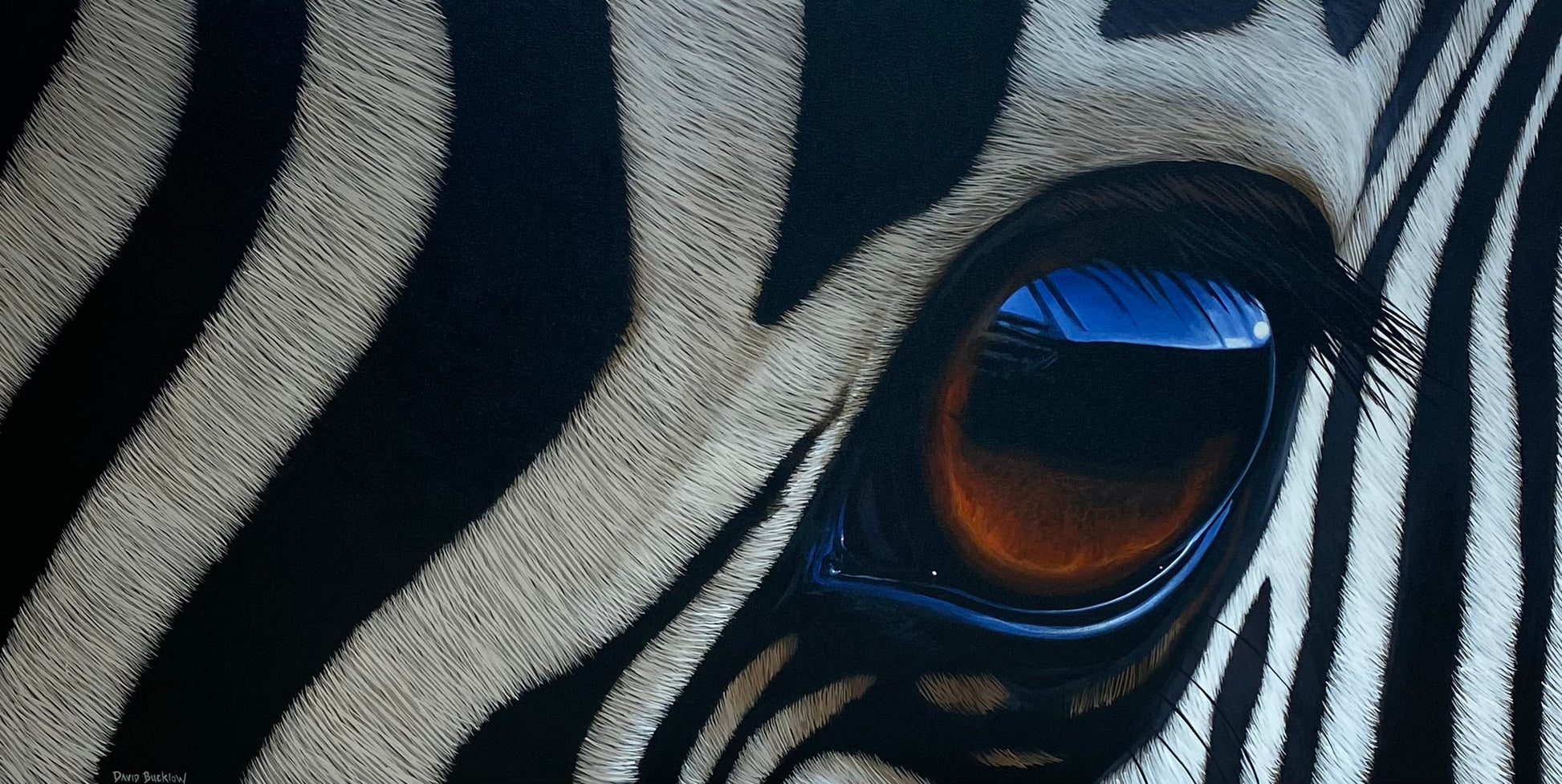 Close Encounter