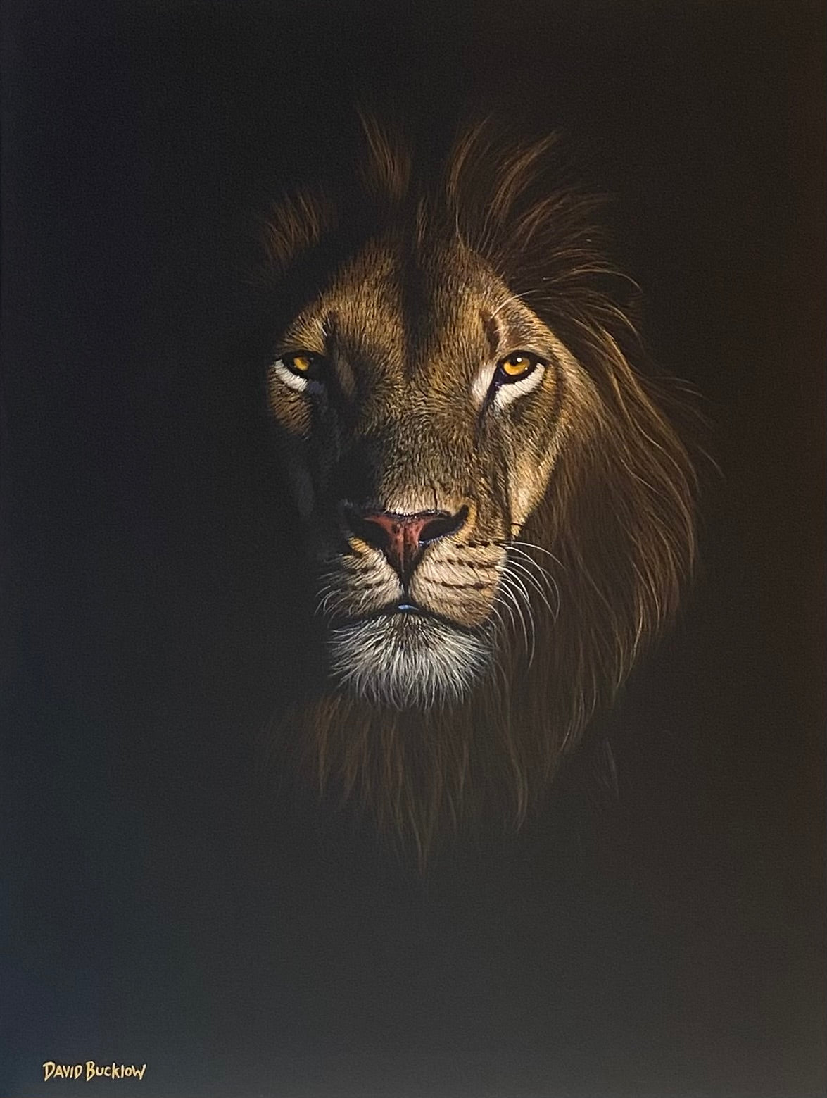 Mane Event