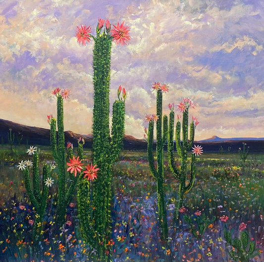 Desert Bloom