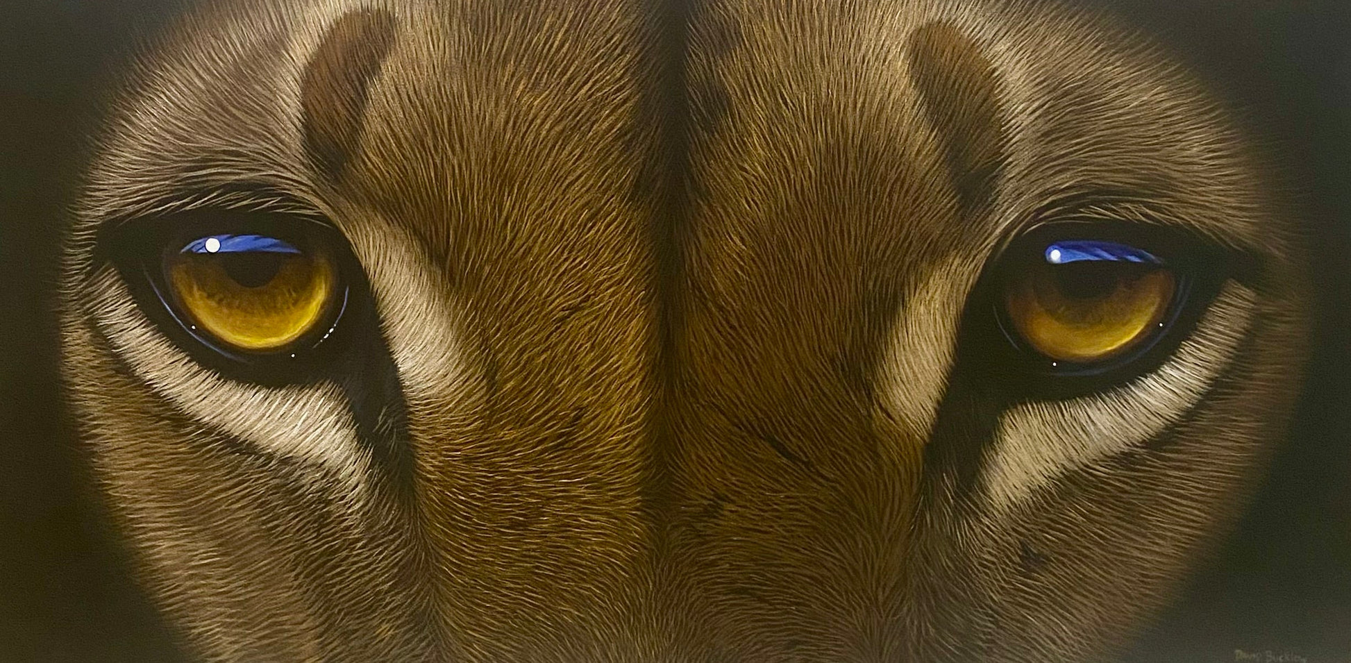Close-up of a cat's face with a focus on its eyes.