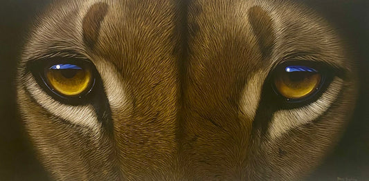 Close-up of a cat's face with a focus on its eyes.