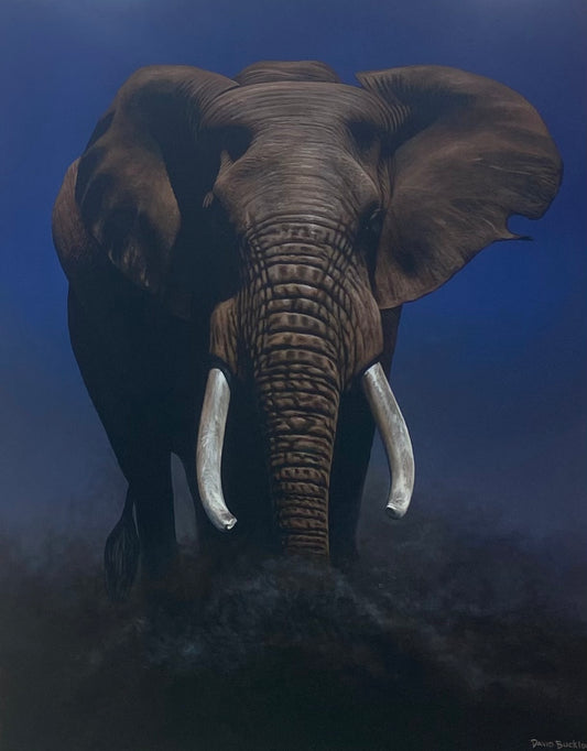 Jabari Mkuu - Great Strength