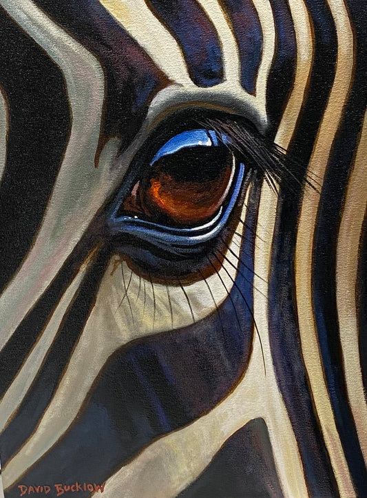Flash in the Eye