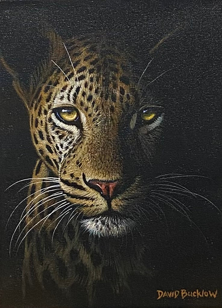 David Bucklow – Fine Art Portfolio