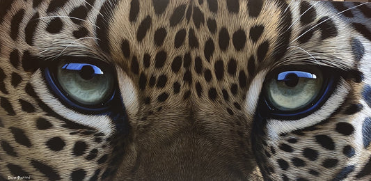 Eye Catching