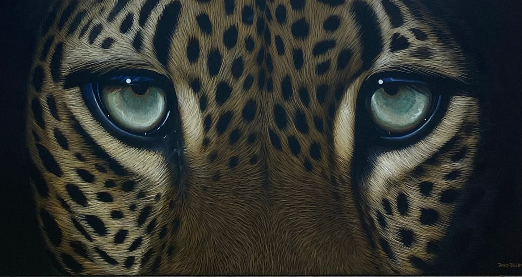 The Eyes
