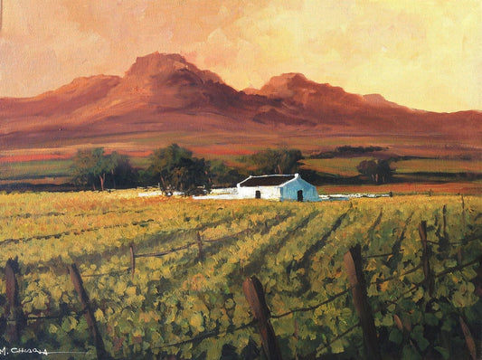 South African Original Art by Mauro Chiarla - Cape Vineyards - Fine Art Portfolio