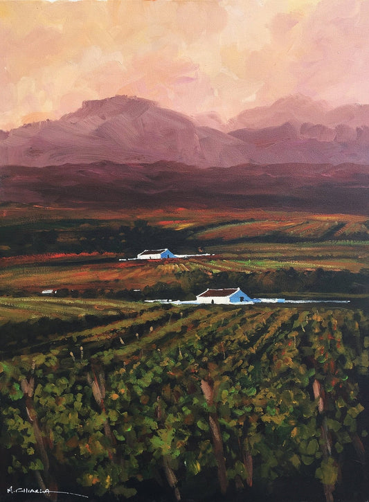 South African Original Art by Mauro Chiarla - Cape Winelands at Sunset - Fine Art Portfolio