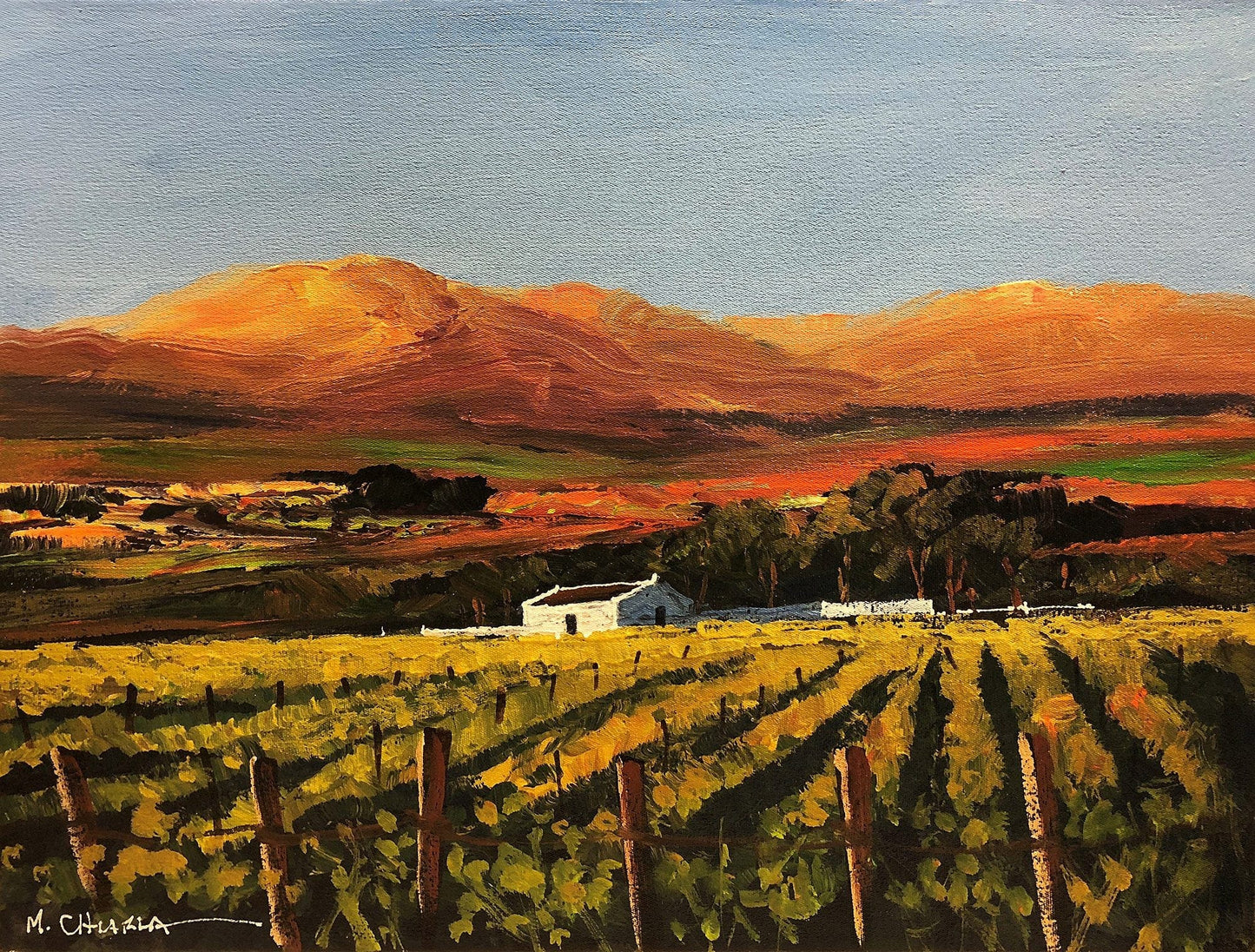 South African Original Art by Mauro Chiarla - Vineyards behind the fence - Fine Art Portfolio