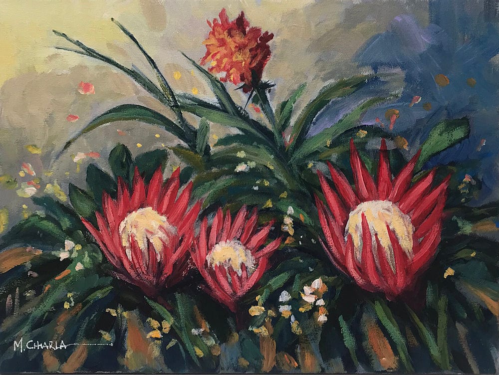 Red Proteas