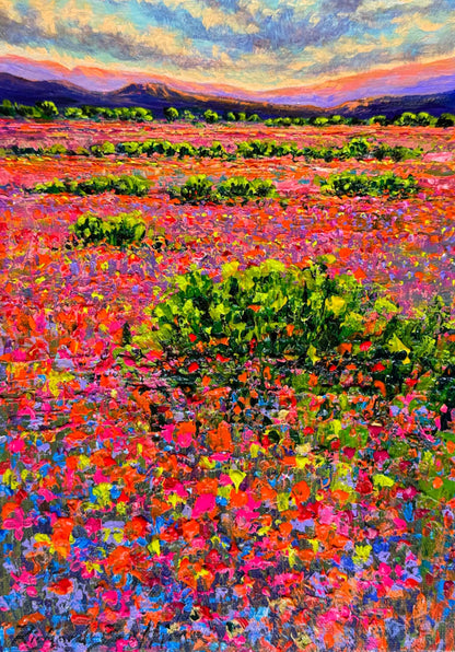 Namaqualand Spring