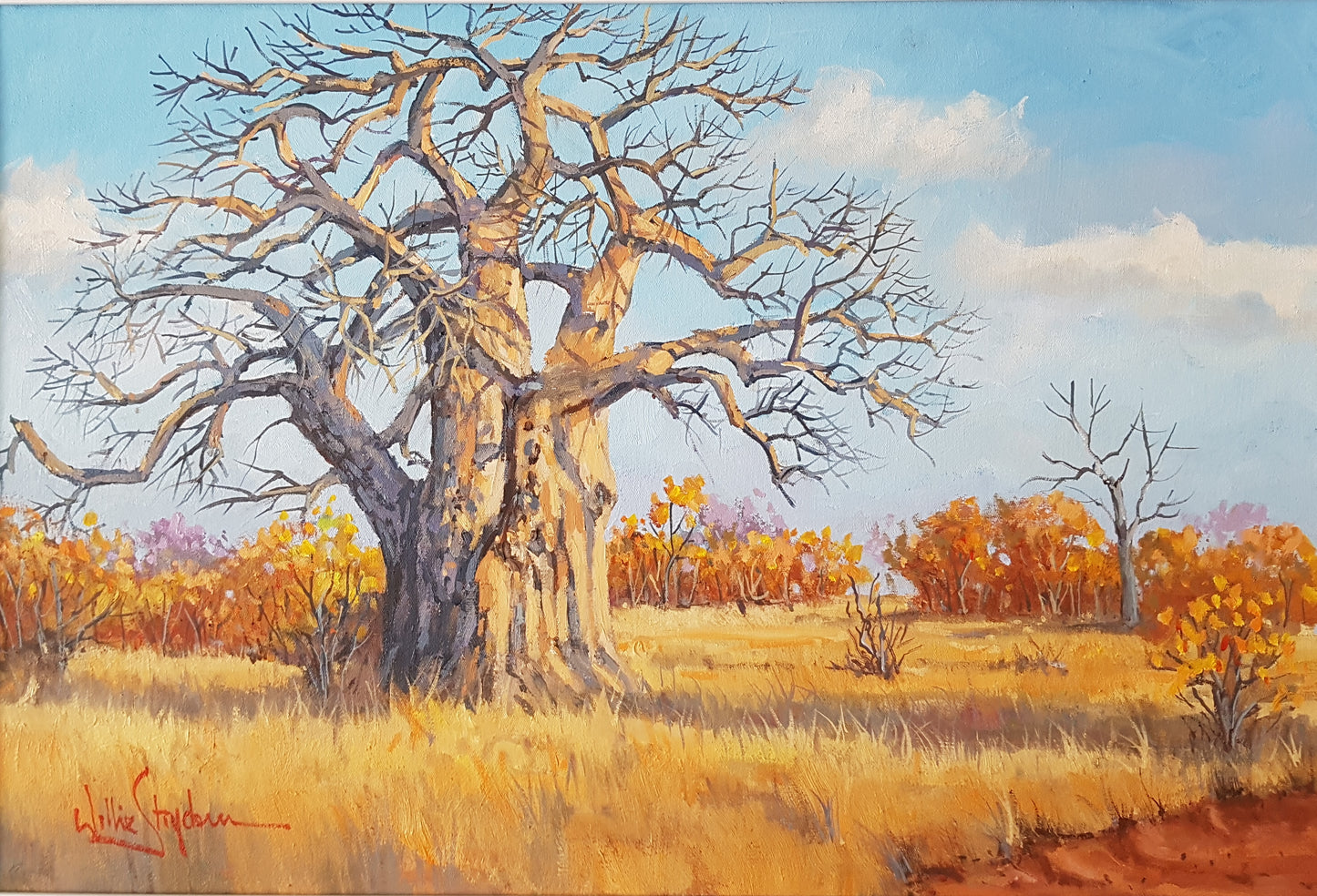 Reaching for the African Sky