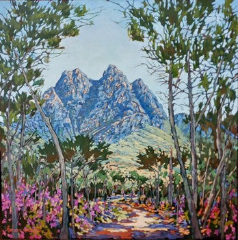 Jonkershoek Watsonias