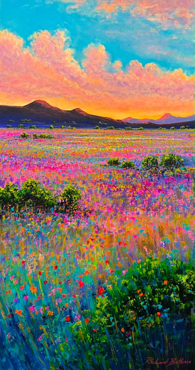 Colour Enchantment
