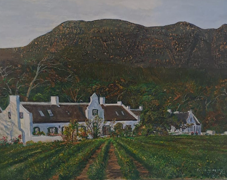 Steenberg Tokai