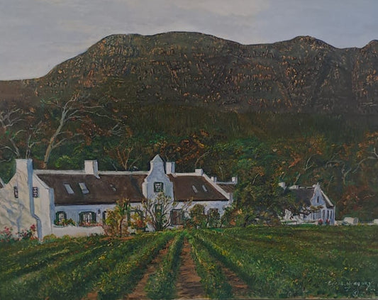 Steenberg Tokai