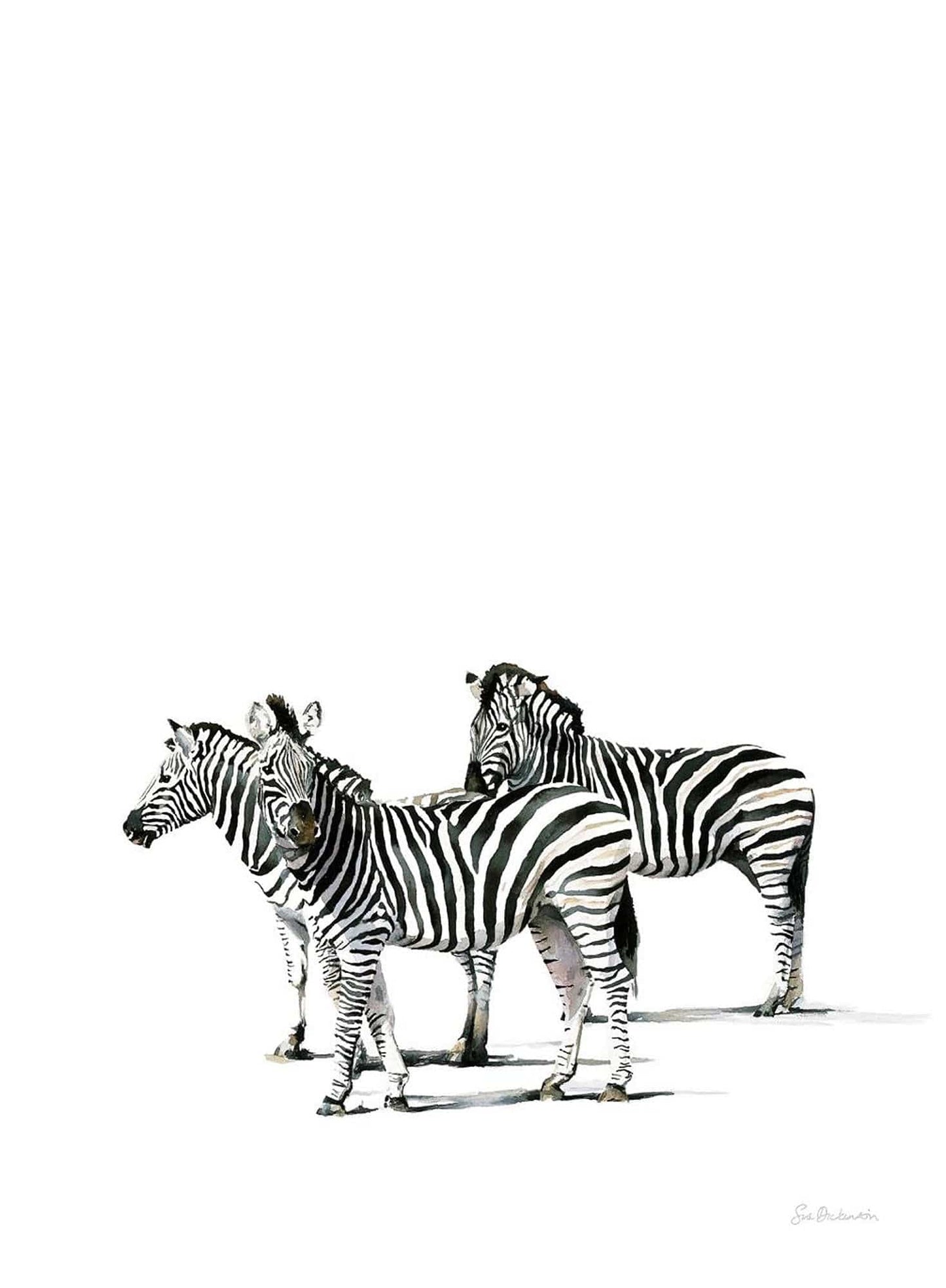 South African Limited Editions by Sue Dickinson - Midday at the Salt Pan - Zebras Vertical - Fine Art Portfolio