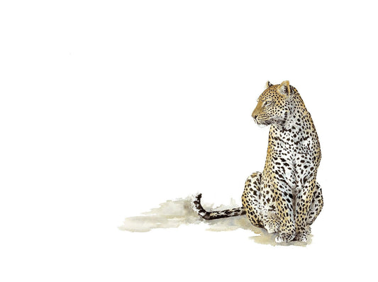 Leopard Fine Art Print of a solitary leopard watercolor painting entitled Dawn's Early Light
