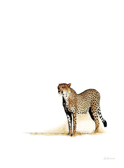 South African Limited Editions by Sue Dickinson - Savannah Cheetah - Vertical - Fine Art Portfolio