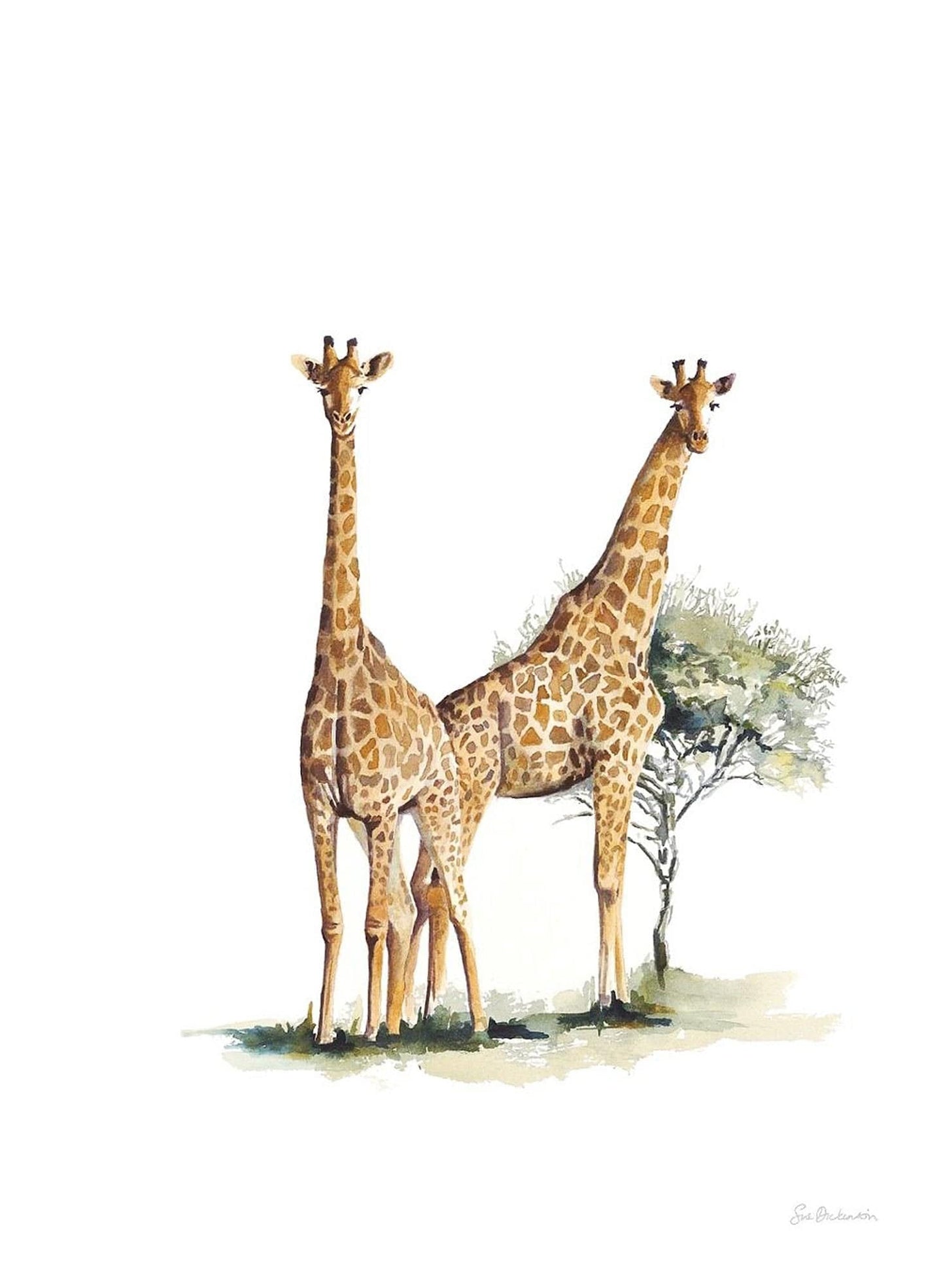 South African Limited Editions by Sue Dickinson - Giraffe Duo - Vertical - Fine Art Portfolio