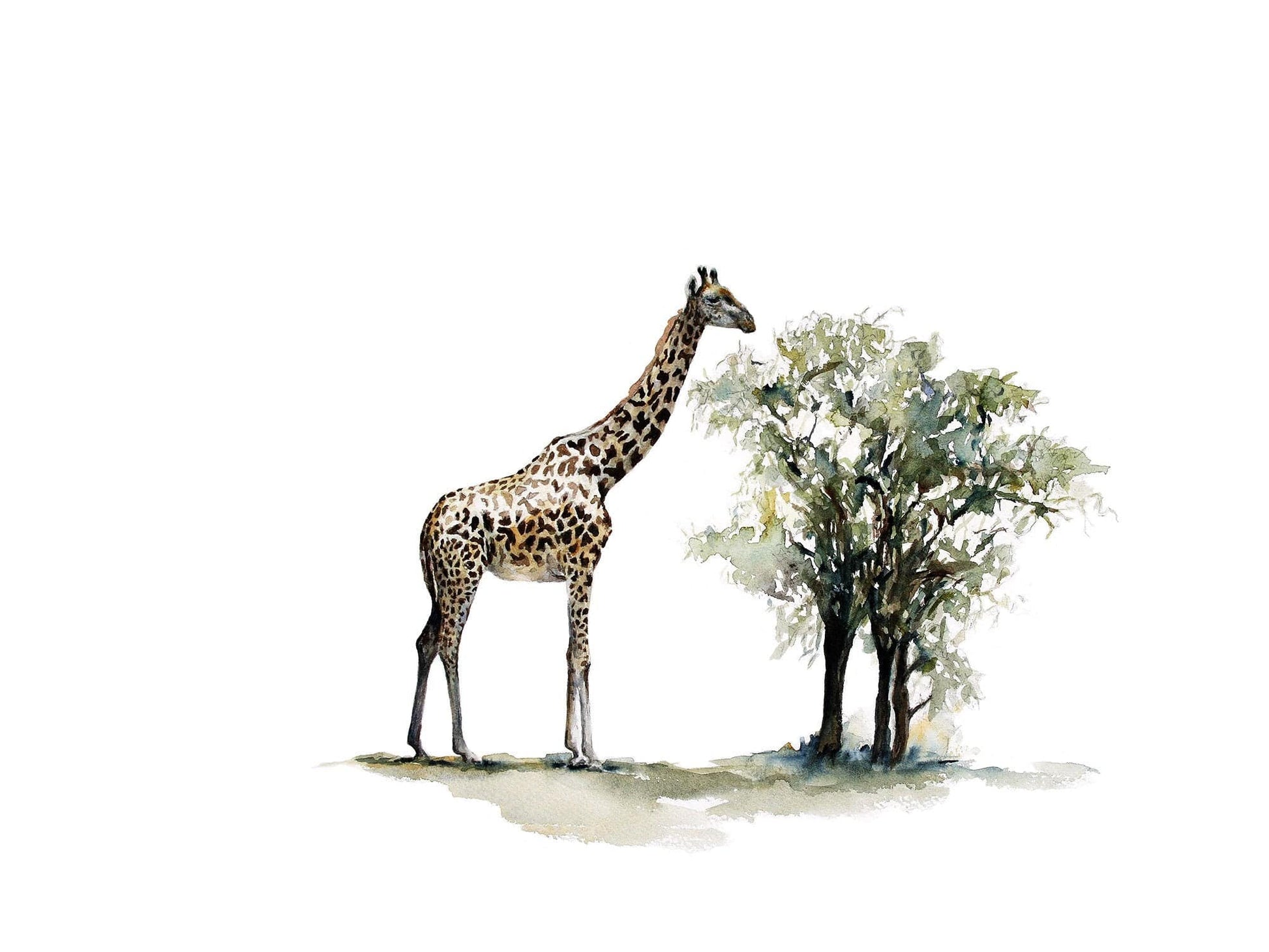 A watercolor painting of a giraffe artwork available as a print