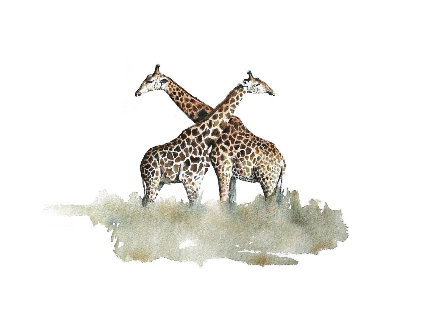 watercolor artwork painting of two giraffes