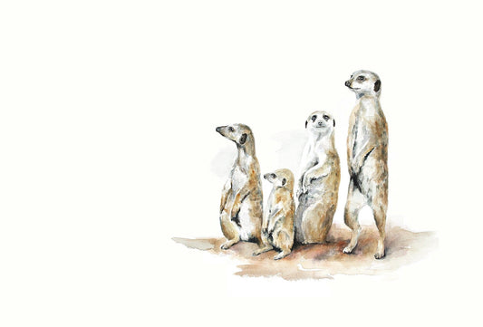 A watercolour painting of meerkats standing at attention
