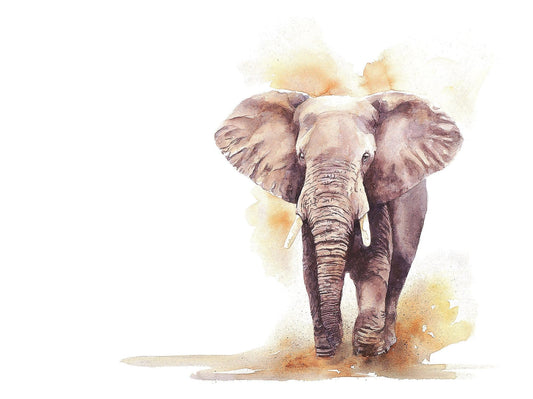 African elephant charging, limited edition prints by Big 5 Wildlife artist Sue Dickinson.