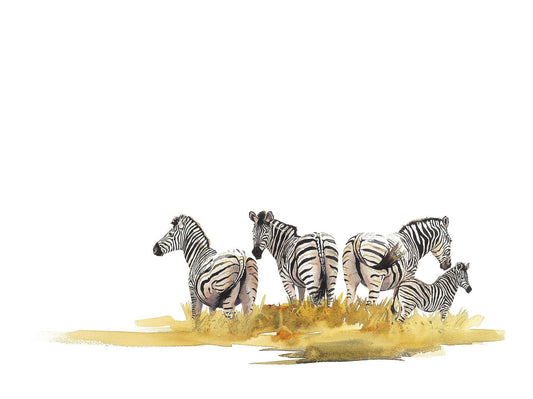 Wildlife zebra art prints, Bringing Up Baby depicts zebra herding baby fowl, Sue Dickinson Artist.