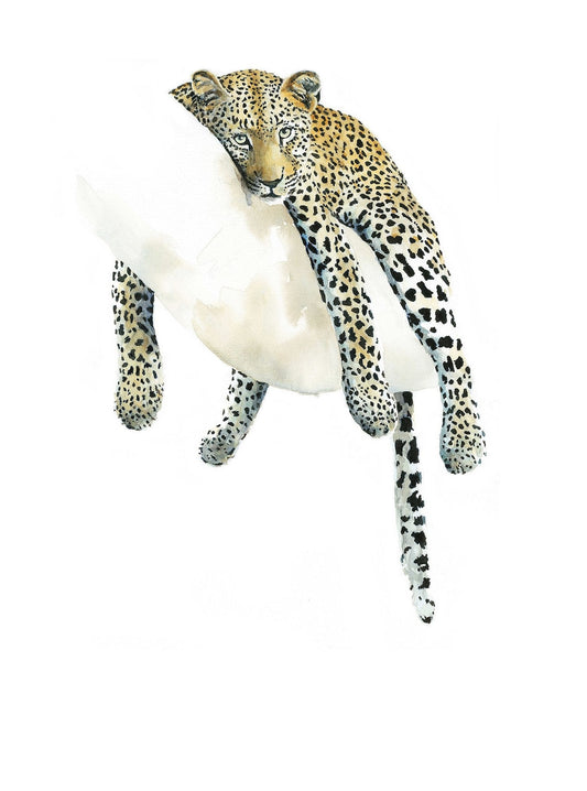 Leopard in a Tree print by wildlife artist Sue Dickinson entitled Eye of the Beholder
