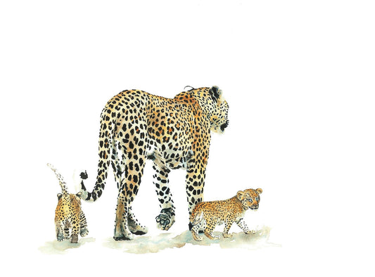 painting of a leopard with her cubs. original was a watercolour by wildlife artist Sue Dickinson