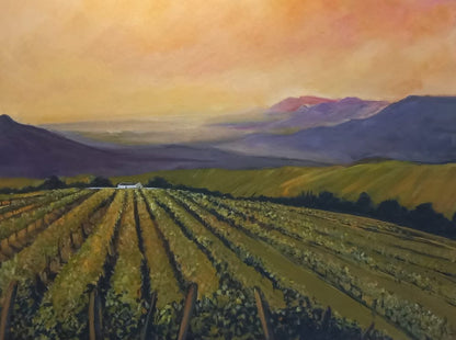 Sunset Vineyards