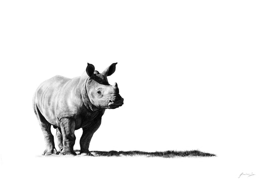 Rhino Art Print by South African Pencil Artist Vincent Reid