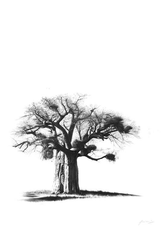 South African Limited Editions by Vincent Reid - Khosi Khadzi Baobab Tree - Vertical - Fine Art Portfolio